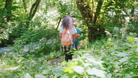 hikers in a forest