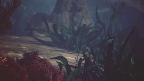 diving into a vibrant mysterious underwater landscape
