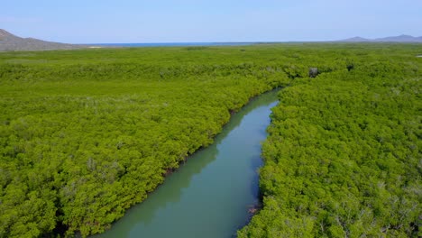 Bosque-De-Manglares-Biodiversos-En-Monte-Cristi,-República-Dominicana,-Aéreo