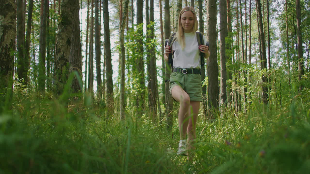 Slow-motion footage of a woman walking along a forest road with a backpack through a pine forest through grass