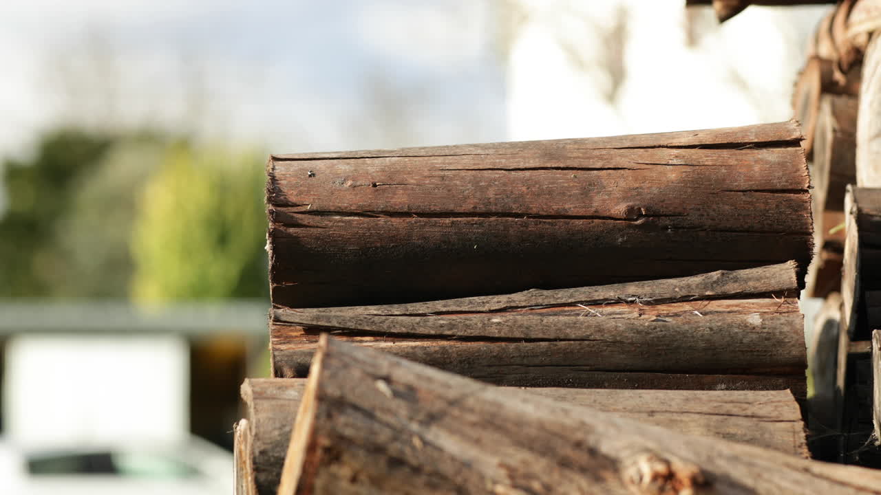 Person Placing Wooden Log On A Pile During Sunny Day