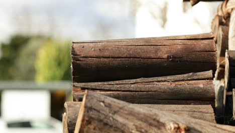 persona colocando troncos de madera en una pila durante el día soleado