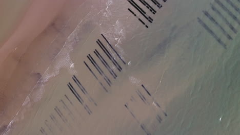 Vertical-drone-view-of-oyster-farms-in-France-Normandy-D-day-beaches