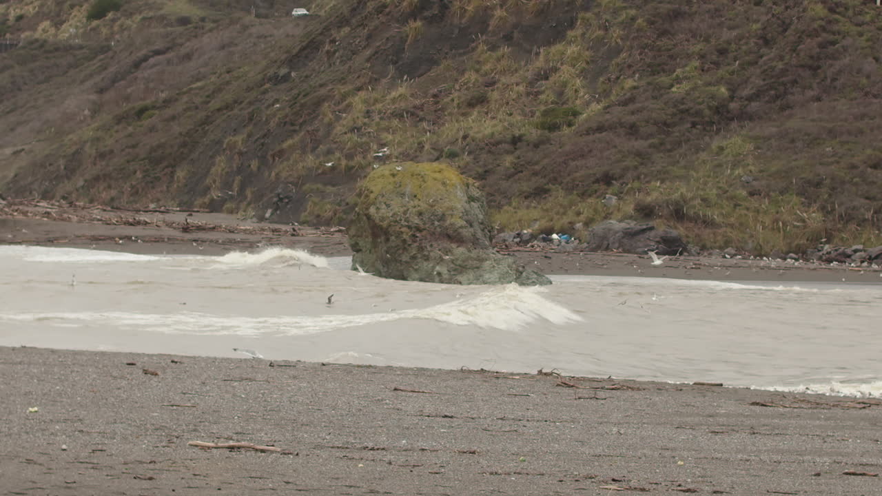 toma amplia en cámara lenta de una ola chocando contra una roca mientras las gaviotas vuelan en primer plano