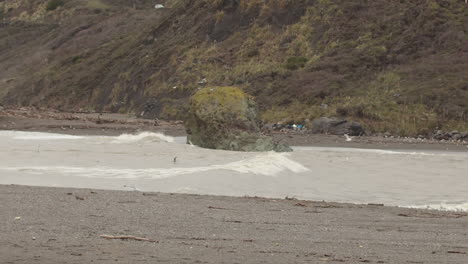 toma amplia en cámara lenta de una ola chocando contra una roca mientras las gaviotas vuelan en primer plano