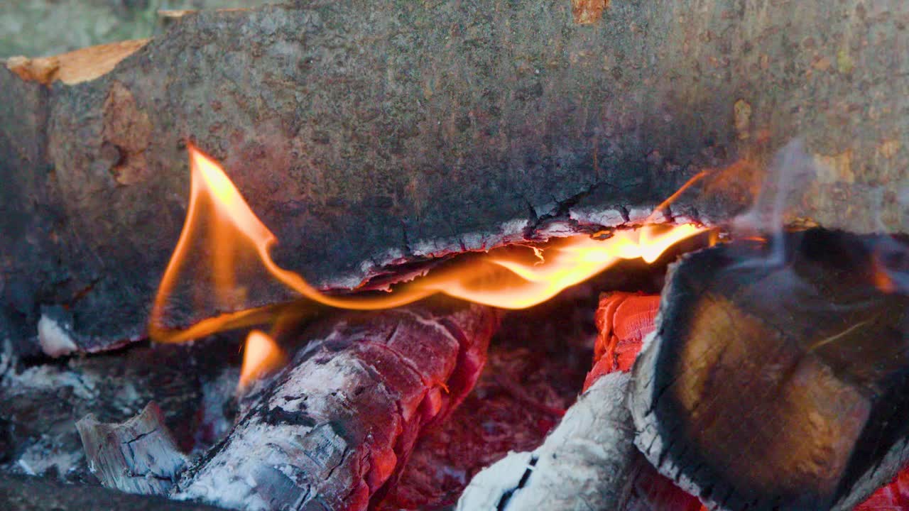 Detailed close-up of wood burning, flames flickering, embers glowing, natural daylight, minimal camera movement