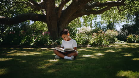 young boy reading a book under a large tree in a garden