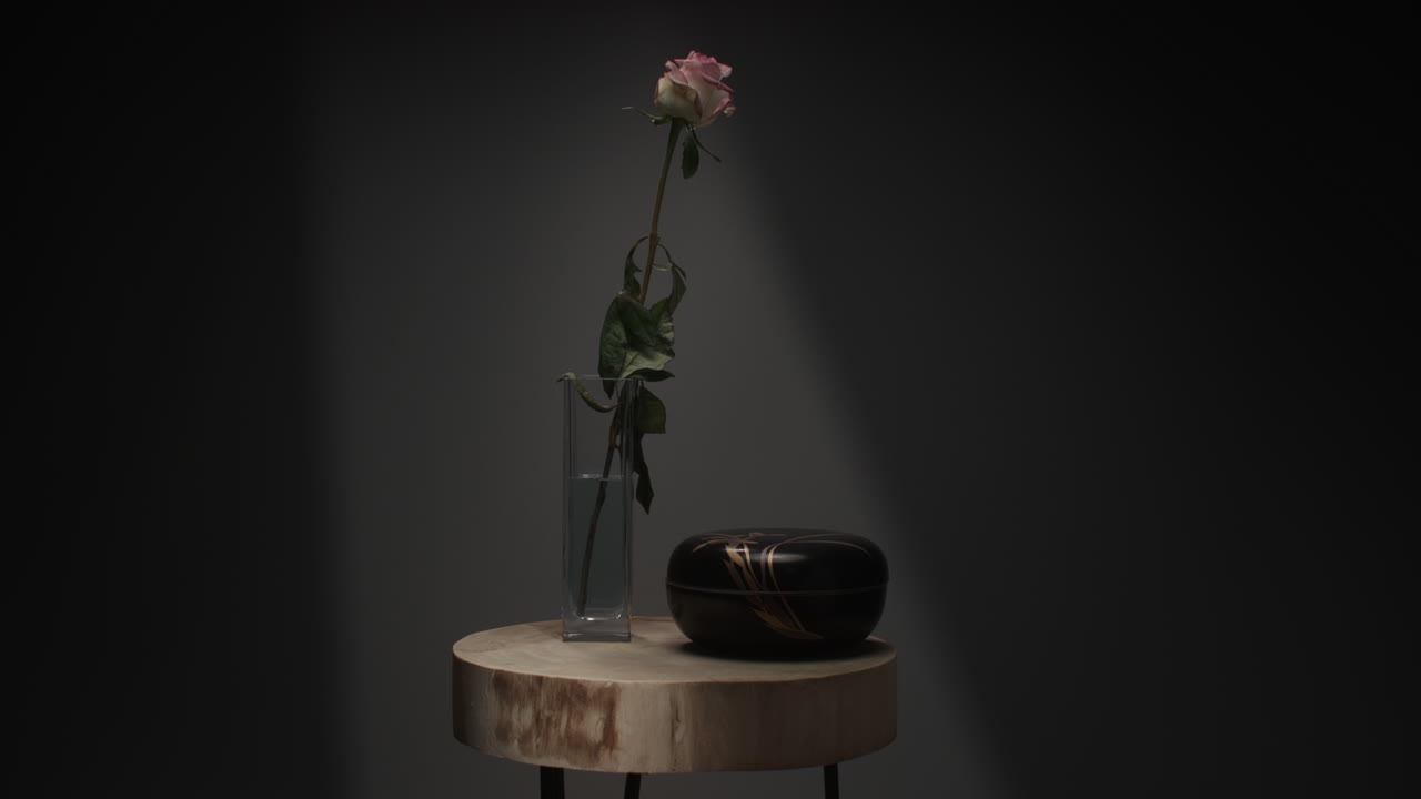 A single rose withers in a vase timelapse