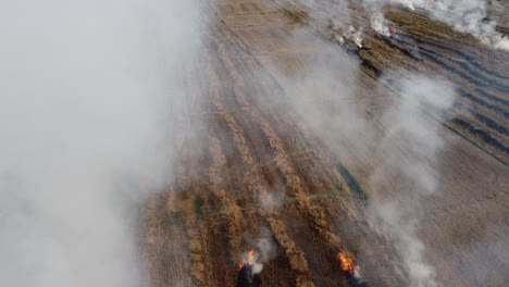 drones volando a través del humo espeso que sale de la quema de rastrojos en tierras de cultivo remotas