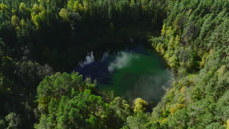 aerial view of small round green lake in the woods