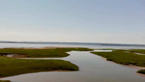 Dolly-forward-rivers-that-meet-the-ocean