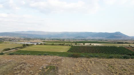 clip de 4k en movimiento lateral sobre el campo y los viñedos cerca del pueblo choristi, en drama, grecia