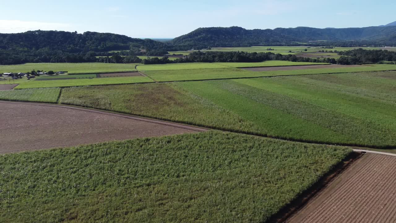 4K Aerial view of a large sugarcane farm with mountains in the background in North Queensland, Australia