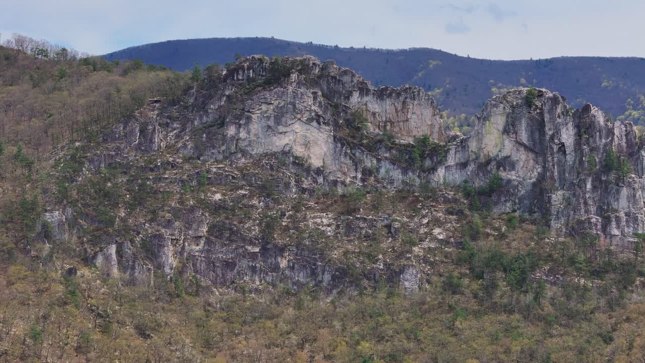 Craggy spine of Seneca Rocks rising from Appalachian forest in West Virginia, USA