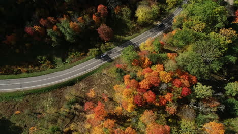 bird's eye view of asphalt road with car driving during autumn season