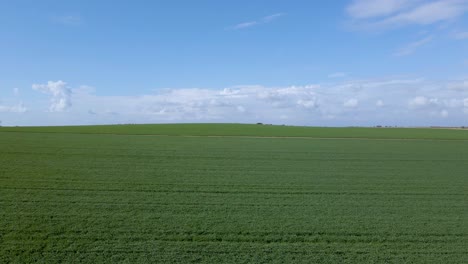 fields at sdot negev israel community