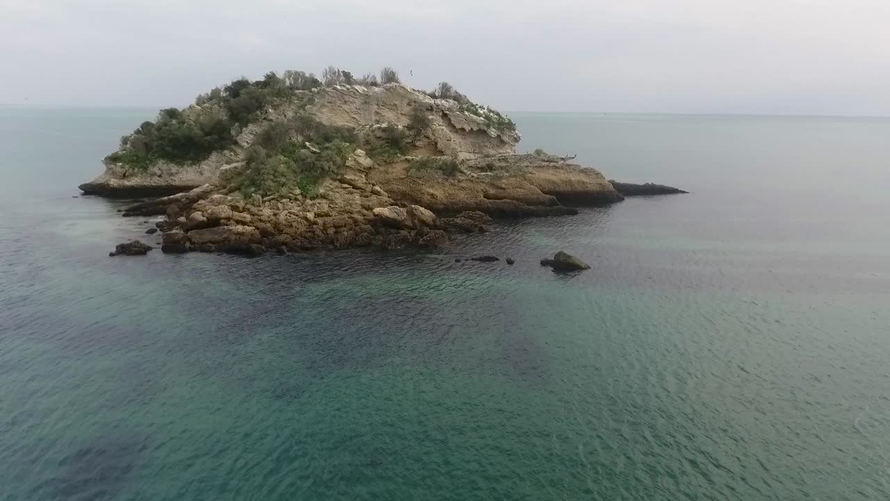 Aerial view to zoological reserve Pedra da Anicha (in the beauty Arrabida Natural Park, Portugal), with many seagulls flying around. Slow motion