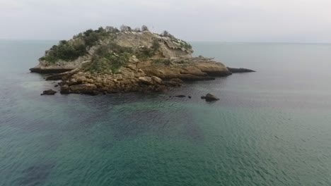 aerial view to zoological reserve pedra da anicha (in the beauty arrabida natural park, portugal), with many seagulls flying around. slow motion