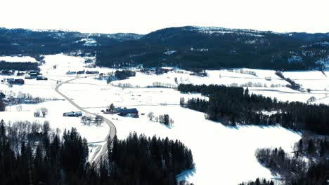 Vista-Panorámica-Aérea-De-Un-Campo-Durante-La-Temporada-De-Invierno-Con-Fondo-De-Montañas-De-Bosque-Denso