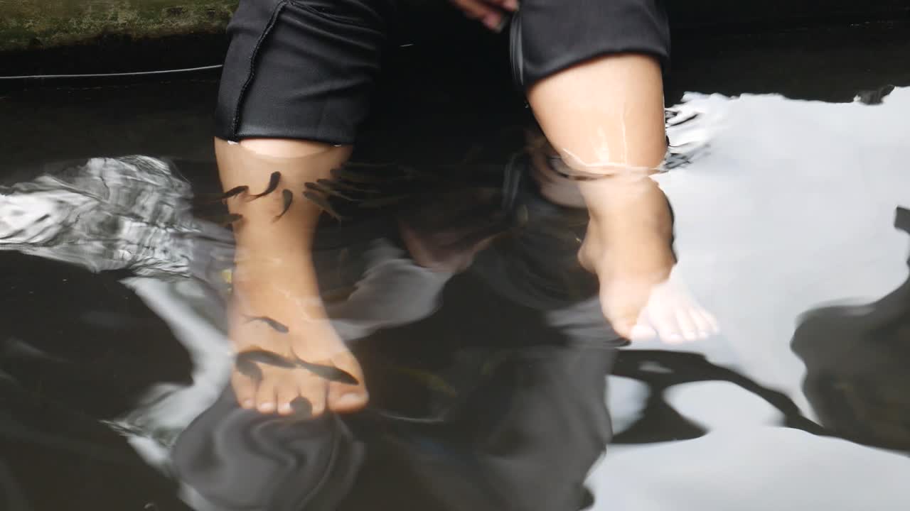 연못에서 작은 물고기와 함께 야외 치료