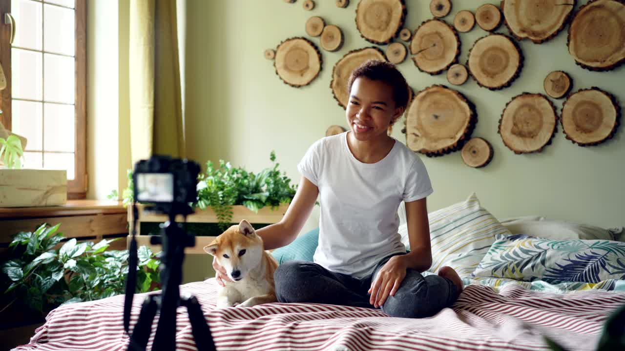 mujer afroamericana alegre blogger popular grabando video para su blog en línea sobre perros shiba inu usando cámara en trípode. niña está sentada en la cama con su mascota.