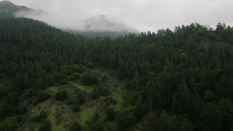Fichten-In-Dichten-Waldbergen-Des-Borjomi-Naturreservats-In-Georgien