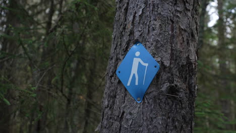 Blaue-Wegmarkierung-Auf-Einem-Baum-Im-Wald