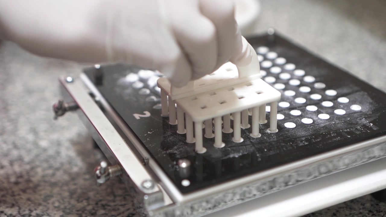 Gloved hand operating a multiwell plate tool, establishing laboratory research workflows.