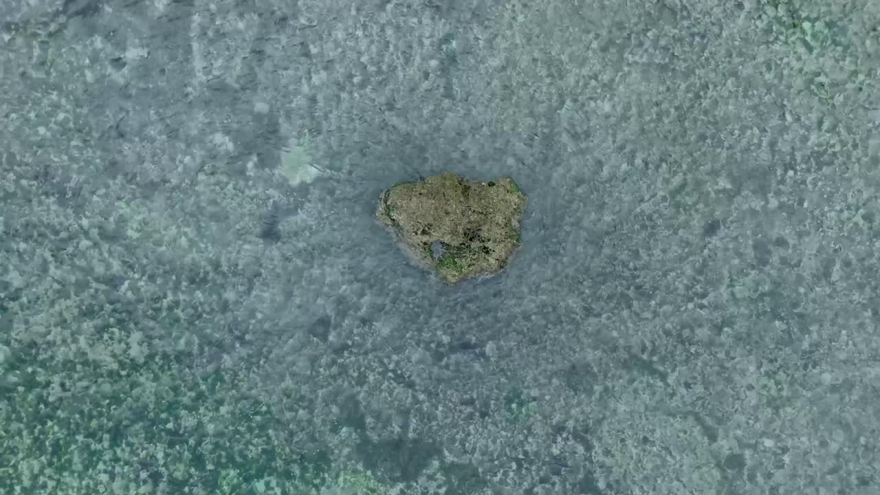 Top Down Slow Motion Drone View of Waves crashing over shallow coral reef and big rock in Uluwatu Bali Indonesia