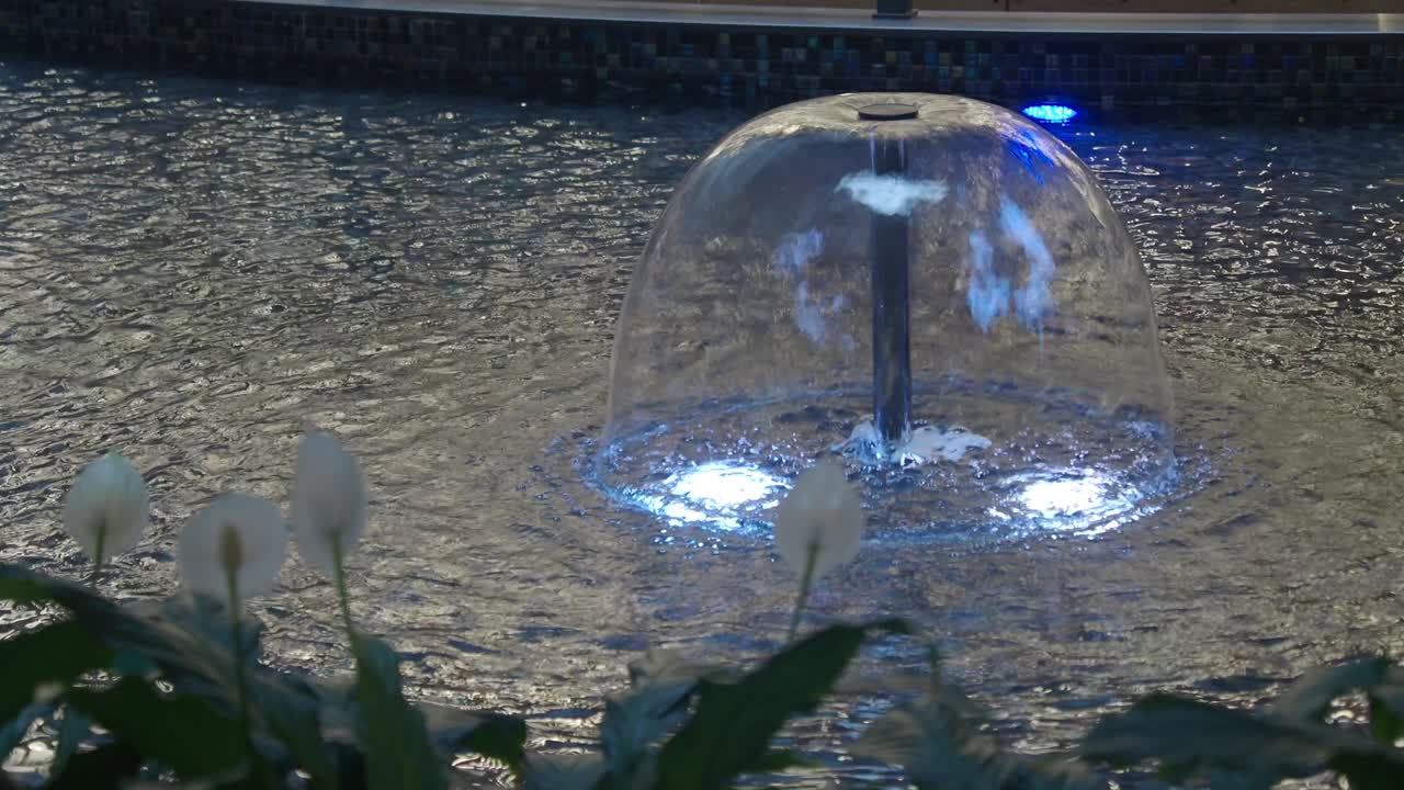 Illuminated Water Fountain with Plants