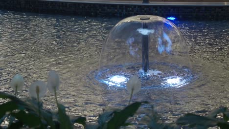 illuminated water fountain with plants