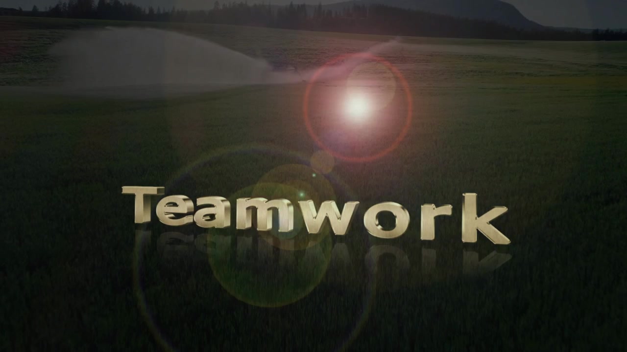 At start 3D gold words appearing over dusk field, sliding into marketing keywords amid lens flare