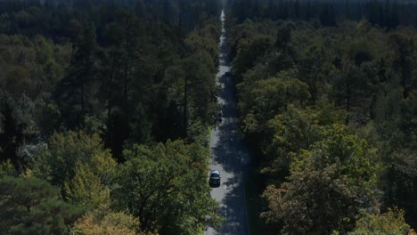 Vista-Aérea-Inclinada-Hacia-Abajo-De-Los-Automóviles-Que-Circulan-Por-Una-Carretera-Enmarcada-Por-Un-Bosque-Verde