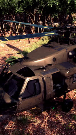 military helicopter in a jungle clearing