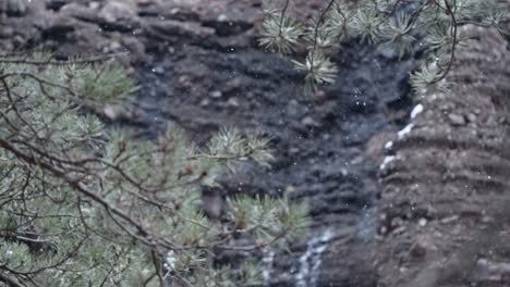 Snowflakes-falls-in-slow-motion-in-mountains,-view-from-under-fir-tree