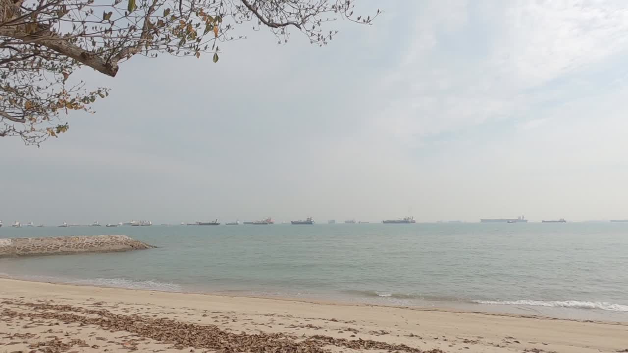 해변, 나무, 바다, 그리고 멀리서 온 화물 선박들이 어두운 하늘 아래에서