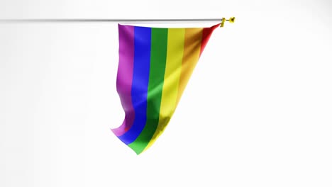 gay pride rainbow flag waving against white background