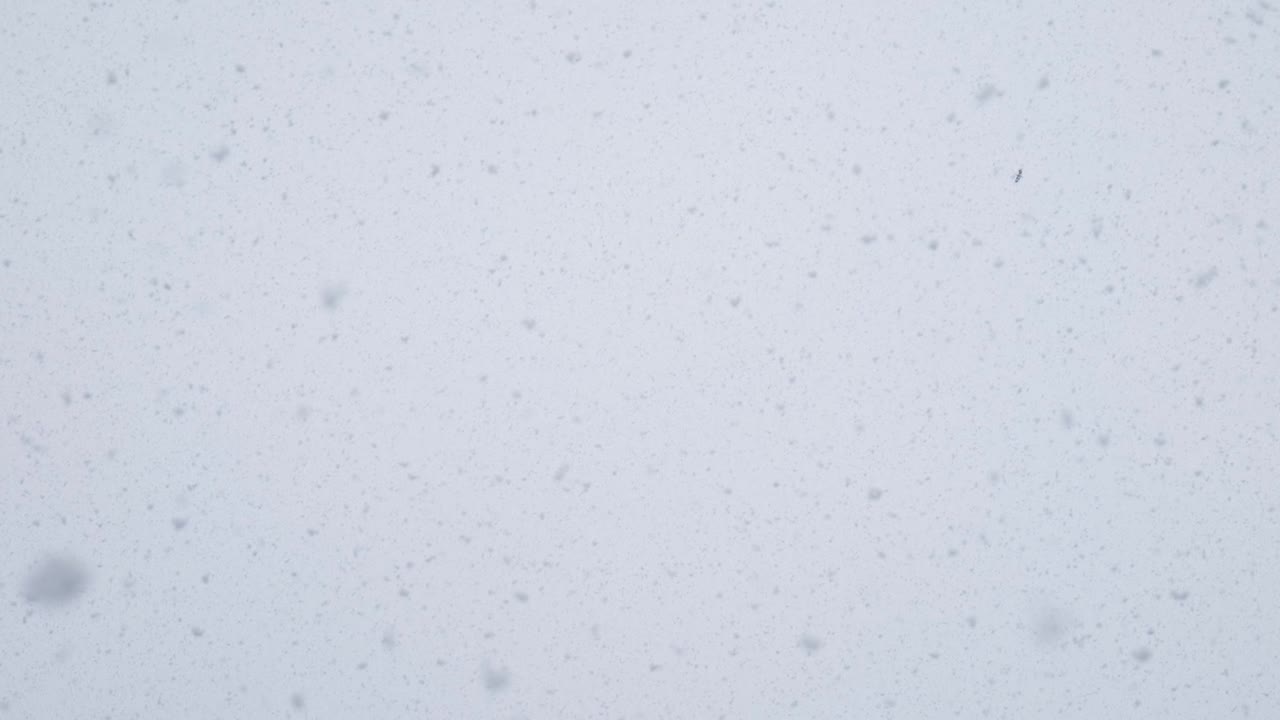 grandes copos de nieve caen contra un cielo brillante