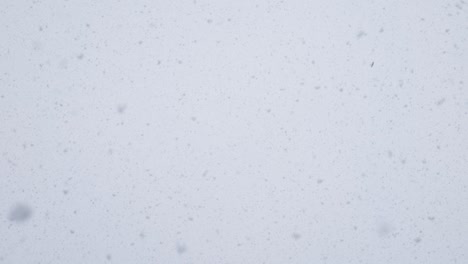 large flakes of snow fall against a bright sky