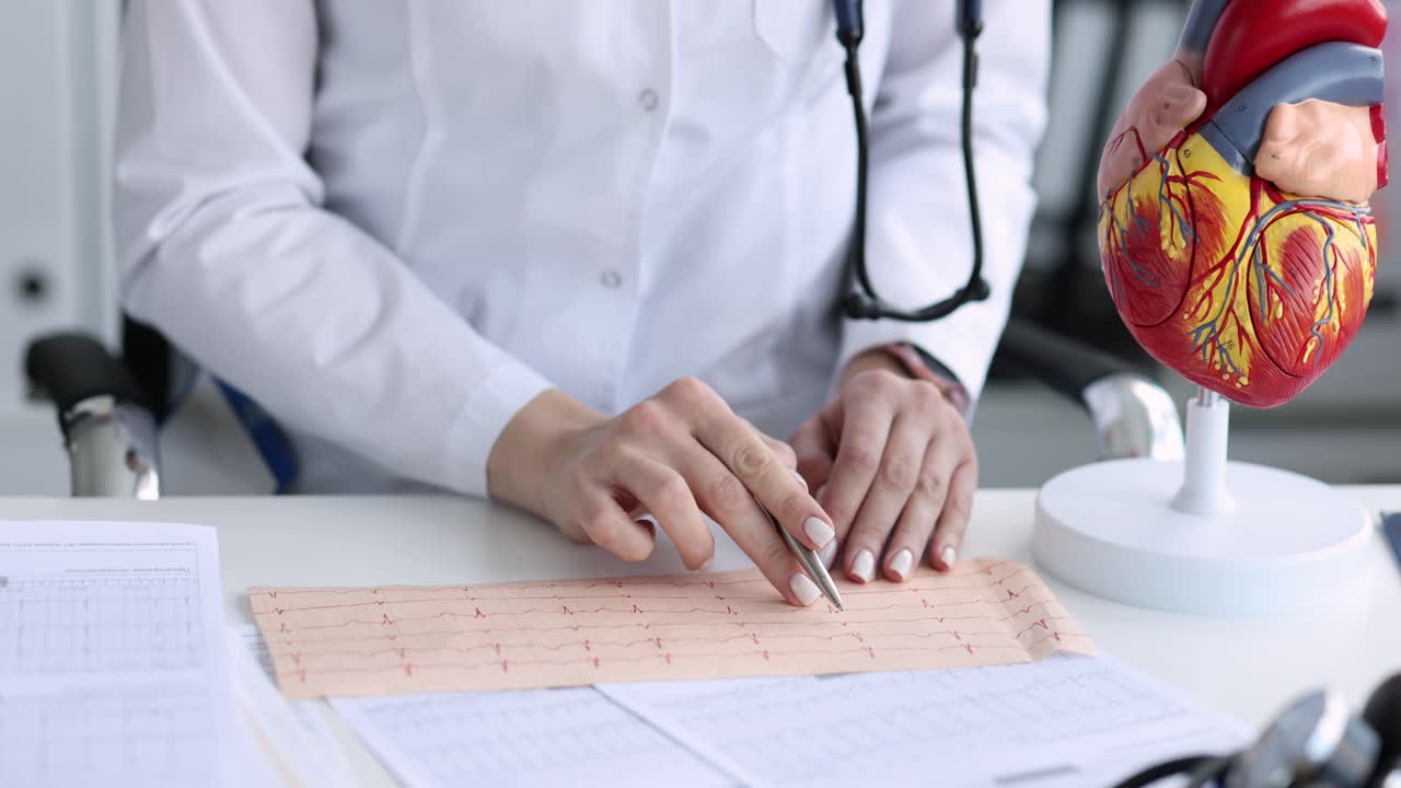 Doctor examining heart model and ECG