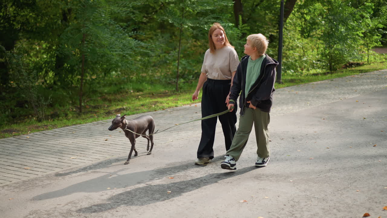 Young Boy And Cheerful Dog Enjoy Sunny Walk, Child And Puppy Stroll Happily Alongside Smiling Woman Outdoors, Boy And Adorable Dog Walk Joyfully With Cheerful Woman On Bright Sunny Day