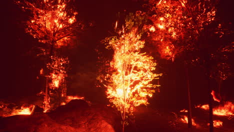 forest fire at night