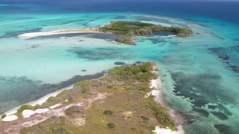 A-serene-mangrove-forest-surrounded-by-a-tranquil-lagoon,-gentle-backward-motion,-aerial-view