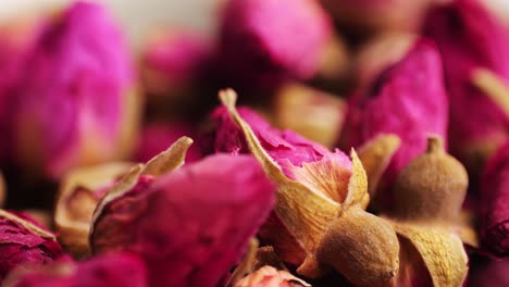 close-up of dried rose buds