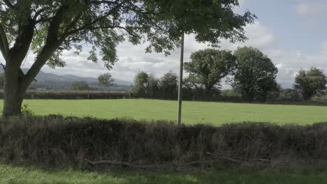 Niedrige-POV-Luft-Hinter-Baum-über-Landwirtschaftlichem-Weideland-Des-Grünen-Grases