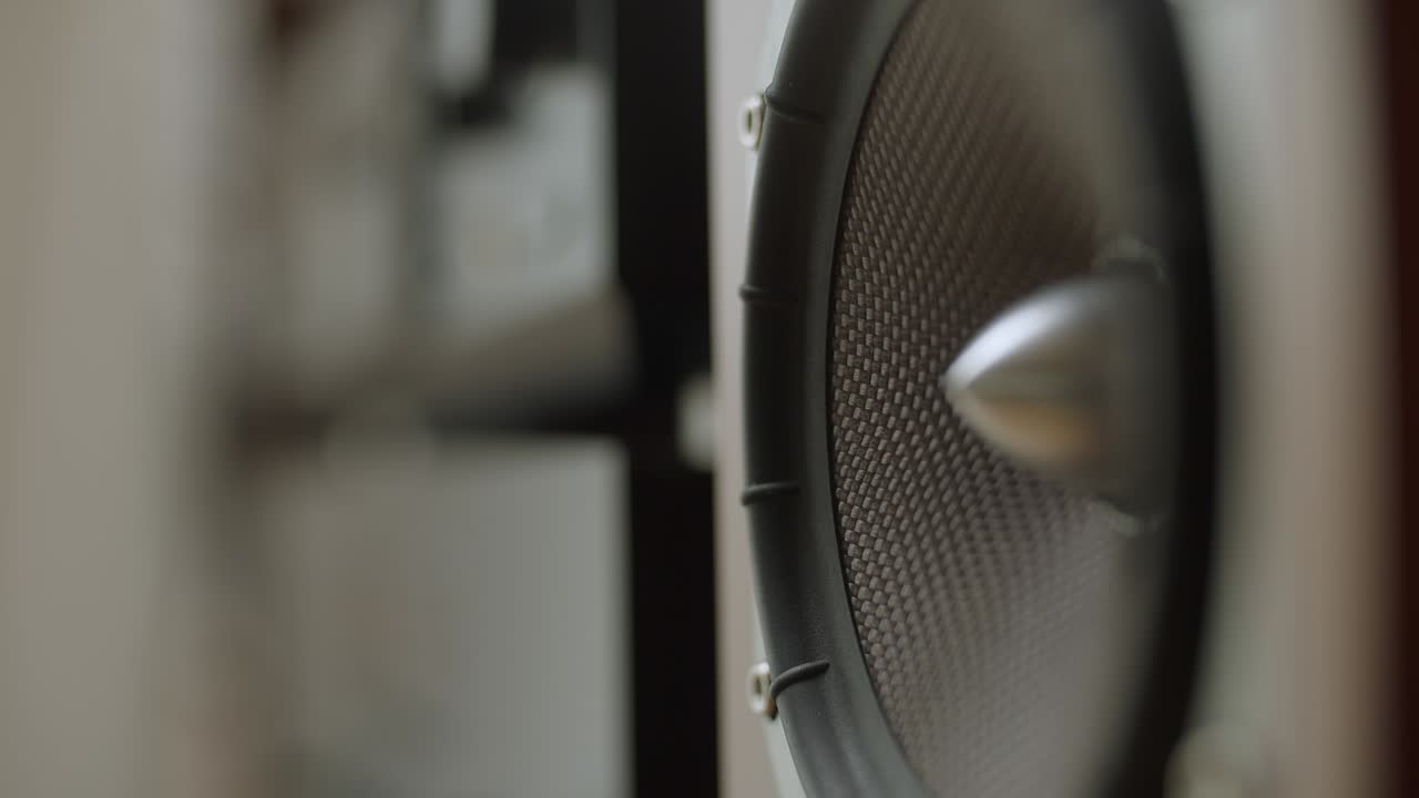 i subwoofer e gli altoparlanti twitter vibrano a frequenze pari.