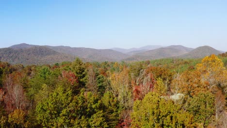 Drone-shot-slowly-flying-over-the-Fall-colors-in-the-North-Georgia-Mountains