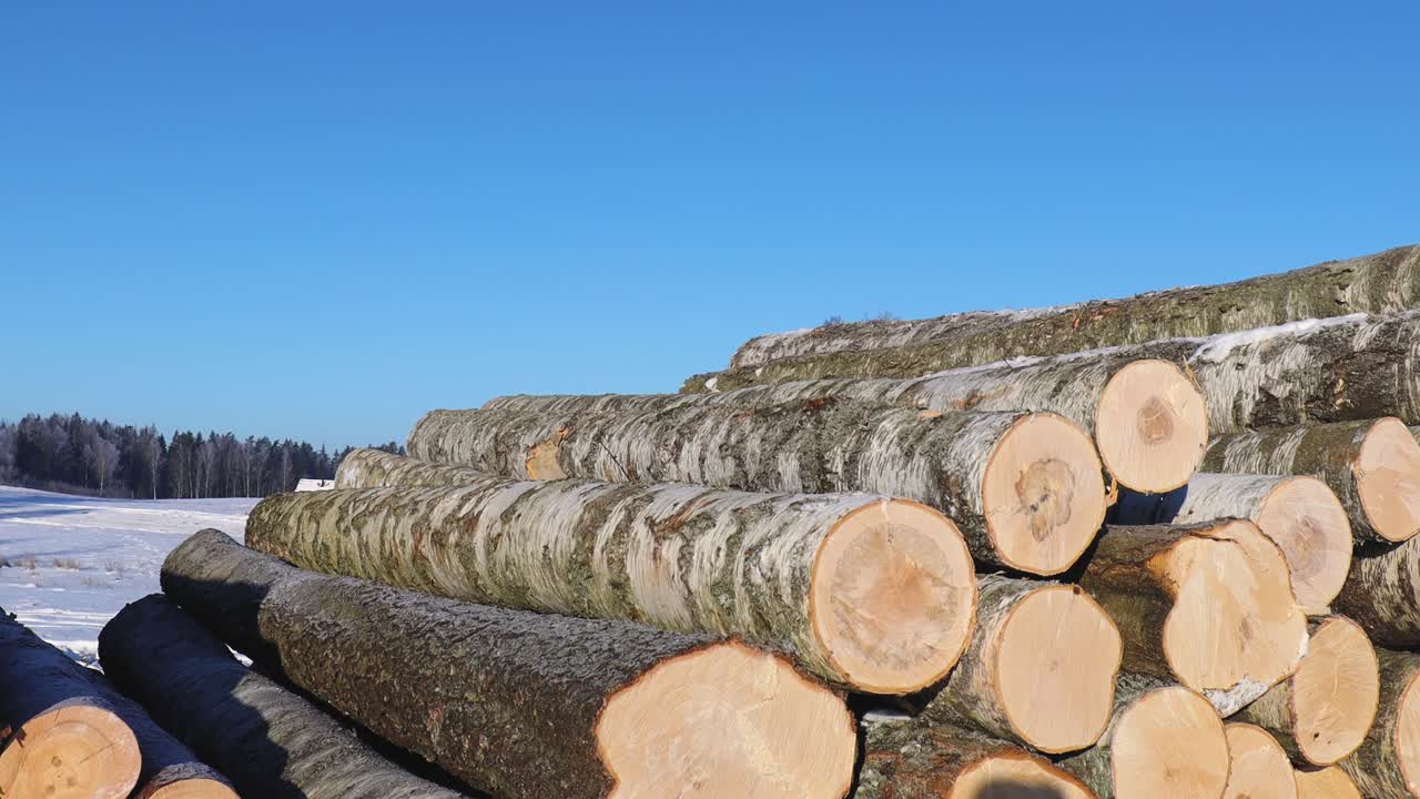 Stacked birch logs covered with light snow rest outdoors in a winter landscape, showing rough bark textures and freshly cut ends under clear daylight