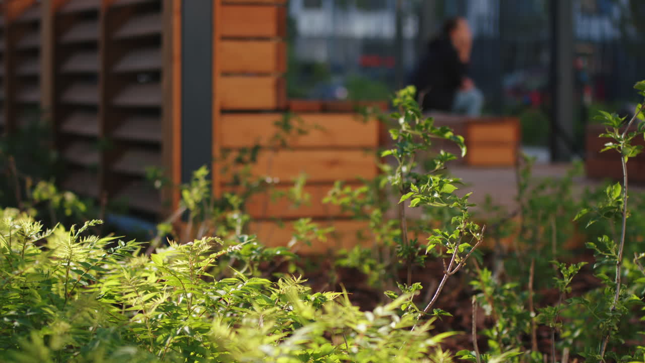 도시 공원 좌석 지역