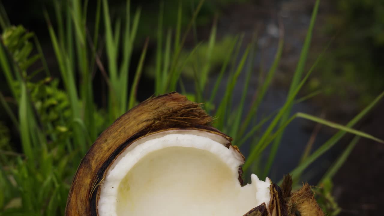 A rustic brown coconut shell cracked open to show smooth white flesh, resting on dark earth with fresh green grass and tropical plants adding contrast to this natural food scene.